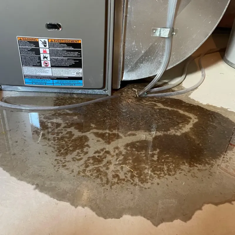 Appliance Leak Cleanup in Portland, CT